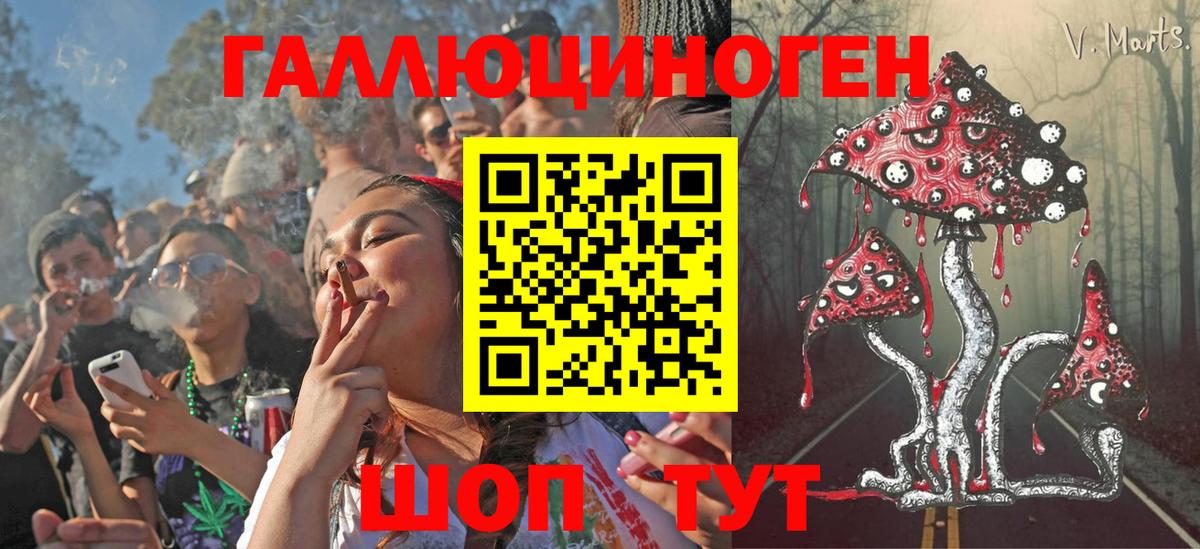 Псилоцибиновые грибы Psilocybe  Вход с VPN  Томск 